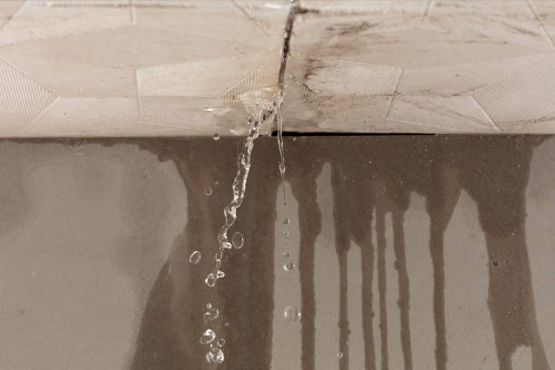 Professional Structural Drying technician working in Jermyn, TX